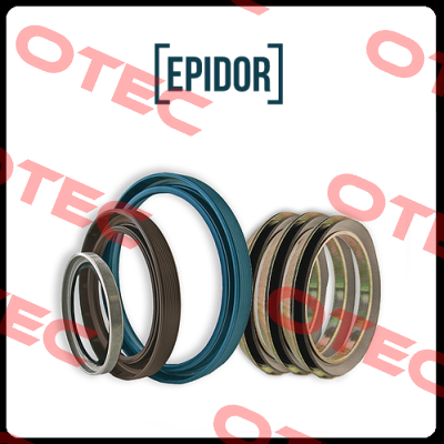 596-999 Epidor