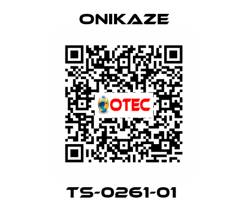 TS-0261-01  Onikaze