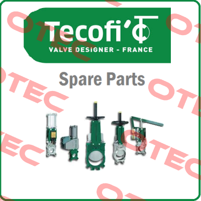 VG3400-004NI0500 Tecofi