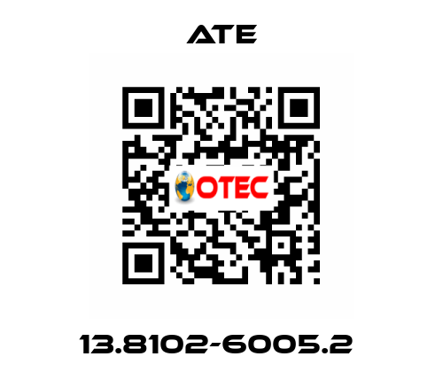 13.8102-6005.2  Ate
