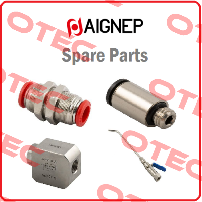 50020-12-1/4 Aignep