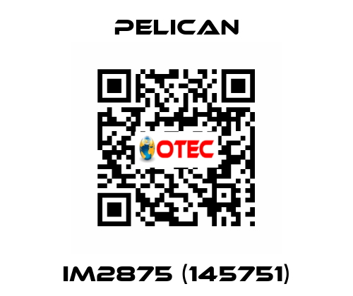 iM2875 (145751) Pelican