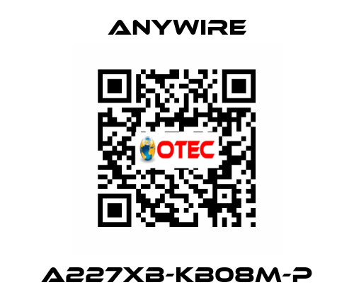 A227XB-KB08M-P Anywire