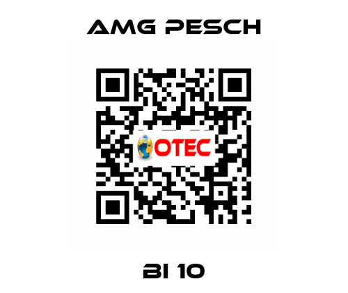 BI 10 AMG Pesch