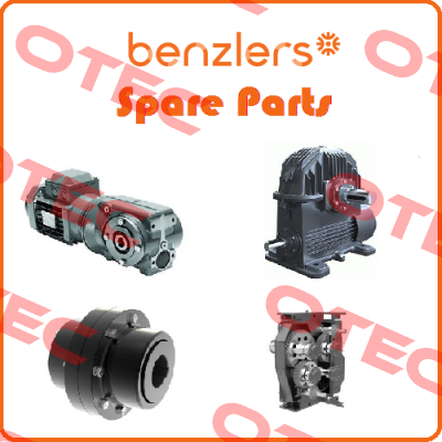 491134-007 Benzlers