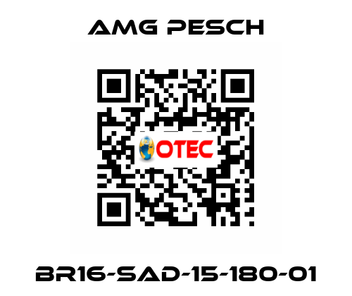 BR16-SAD-15-180-01 AMG Pesch