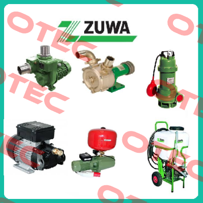13131136421A Zuwa