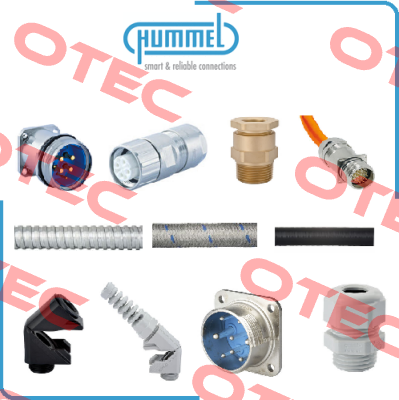633421006 Hummel