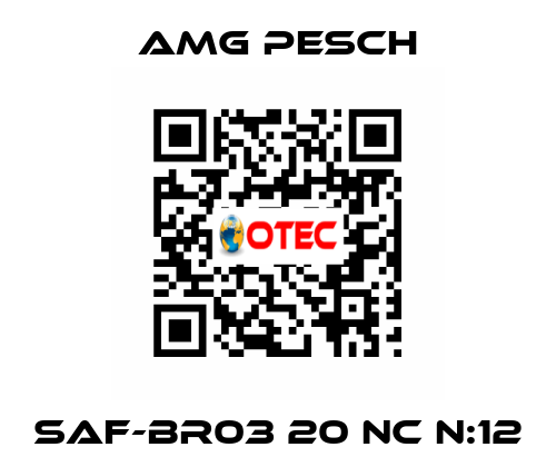 SAF-BR03 20 NC n:12 AMG Pesch