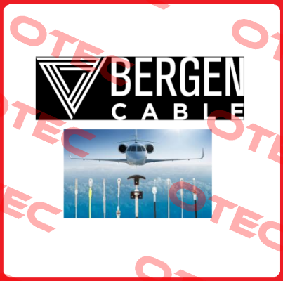 BM323 Bergen Cable Technology Llc
