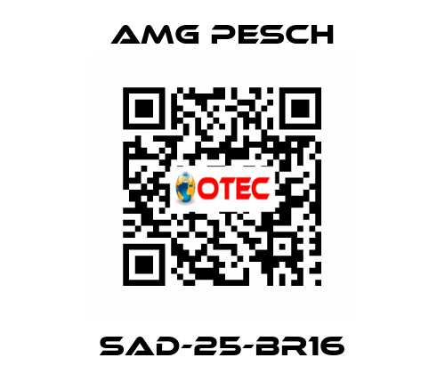 SAD-25-BR16 AMG Pesch