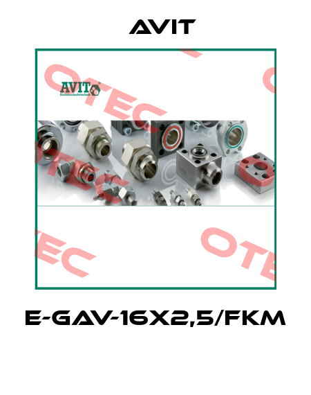 E-GAV-16x2,5/FKM  Avit