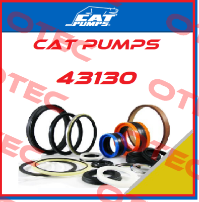 43130 Cat Pumps