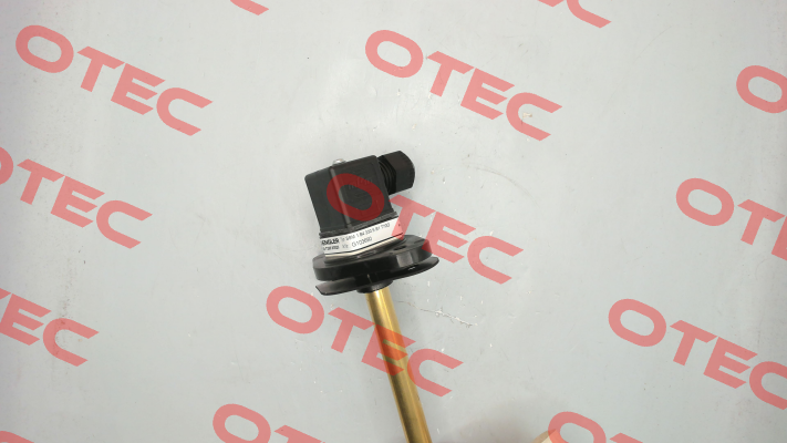 SSM.1.B4.330.5.S1.T70O Engler