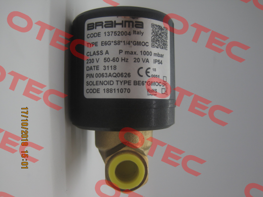 E6G*S8 R1/4" B/BE6*GMOC (stock) Brahma