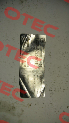 123B-50250/1 Euro Motors Italia