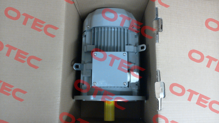 FCPA 132S-6 /PHE AC Motoren