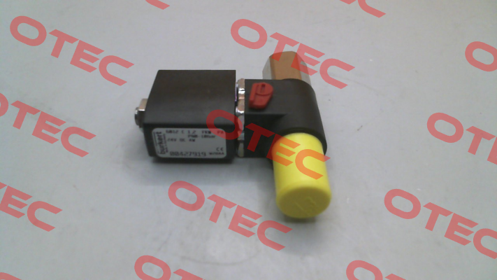 427919 Burkert